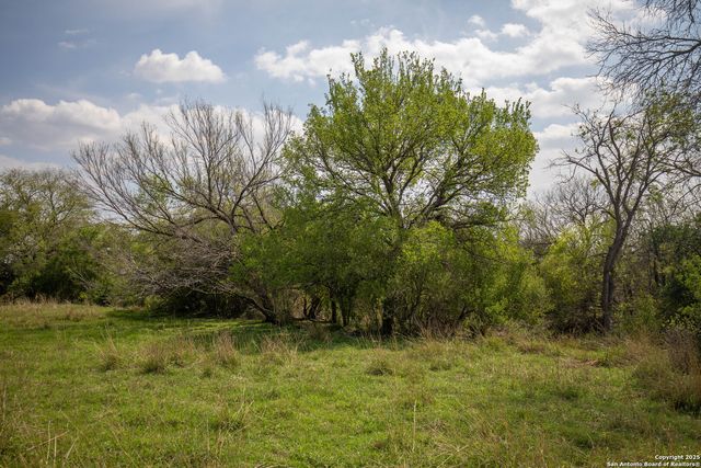 500 PR Goose Creek Ln, Jourdanton, TX 78026