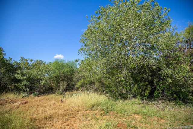 500 PR Goose Creek Ln, Jourdanton, TX 78026