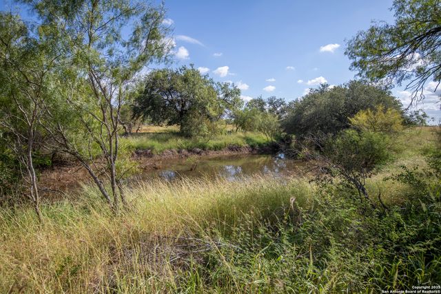 500 PR Goose Creek Ln, Jourdanton, TX 78026