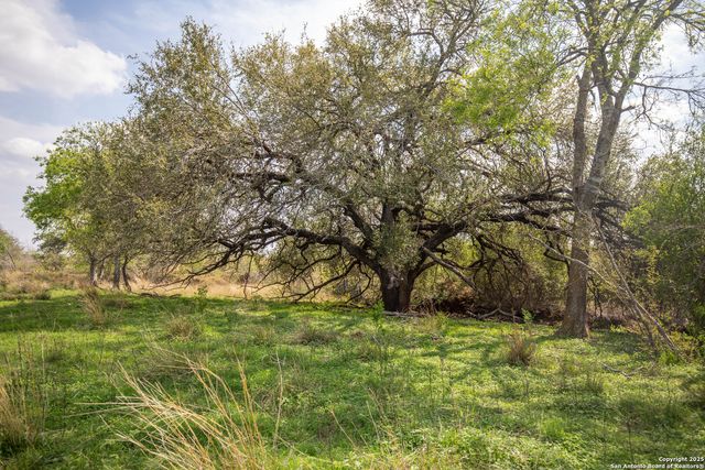 500 PR Goose Creek Ln, Jourdanton, TX 78026