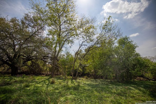 500 PR Goose Creek Ln, Jourdanton, TX 78026