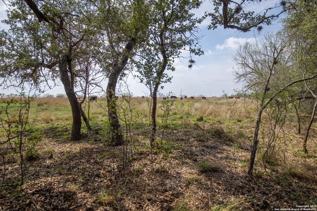 500 PR Goose Creek Ln, Jourdanton, TX 78026