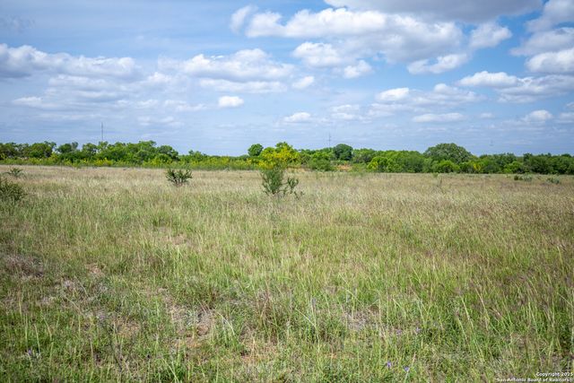 500 PR Goose Creek Ln, Jourdanton, TX 78026