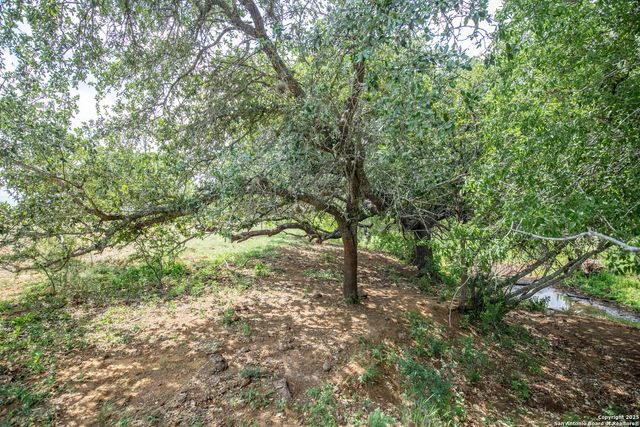500 PR Goose Creek Ln, Jourdanton, TX 78026