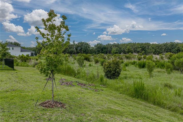 12253 CATTLESIDE DRIVE, Riverview, FL 33579