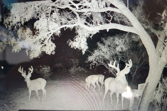 235 Hcr 2128, Whitney, TX 76692