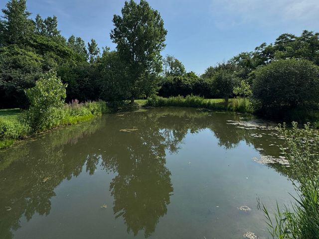 16W122 91st Street, Burr Ridge, IL 60527