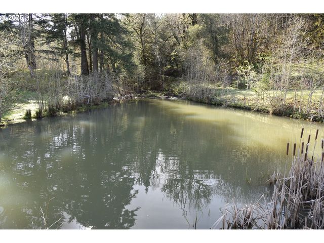 3890 MILL CREEK Rd, Sheridan, OR 97378