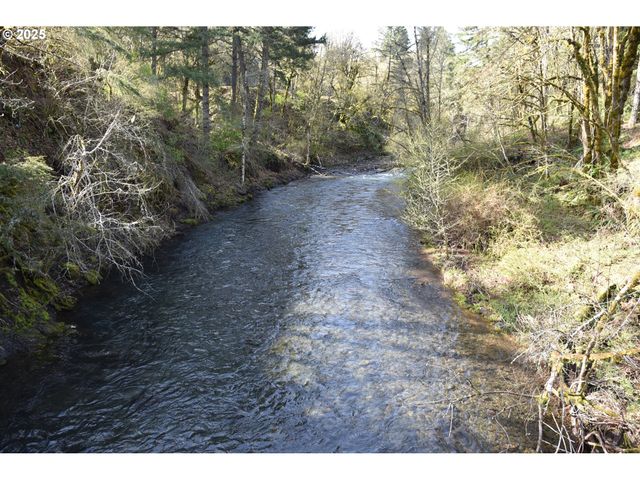 3890 MILL CREEK Rd, Sheridan, OR 97378