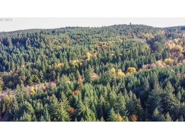 3890 MILL CREEK Rd, Sheridan, OR 97378