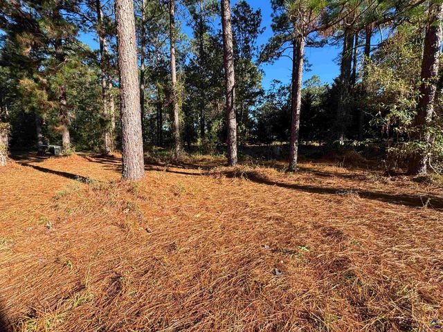 319 Country Club Road, Cochran, GA 31014