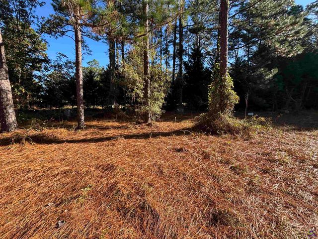 319 Country Club Road, Cochran, GA 31014