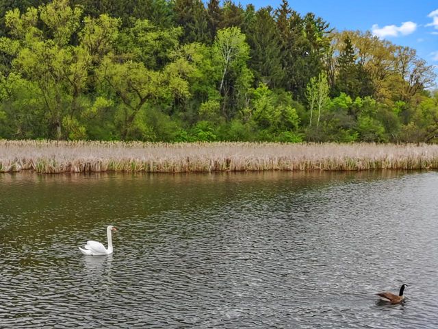 N6993 Oakwood ROAD, Whitewater, WI 53190