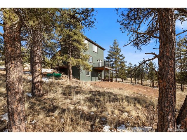 142 Hackamore Dr, Florissant, CO 80816