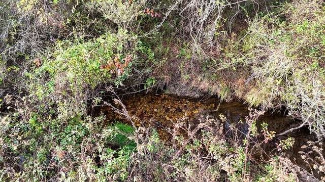 147 Sawyer Cove Road, Hayesville, NC 28904