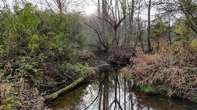 147 Sawyer Cove Road, Hayesville, NC 28904