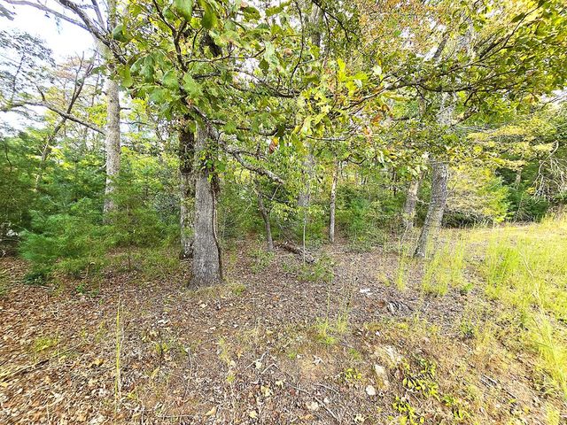 147 Sawyer Cove Road, Hayesville, NC 28904