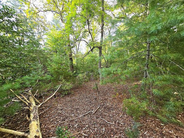 147 Sawyer Cove Road, Hayesville, NC 28904