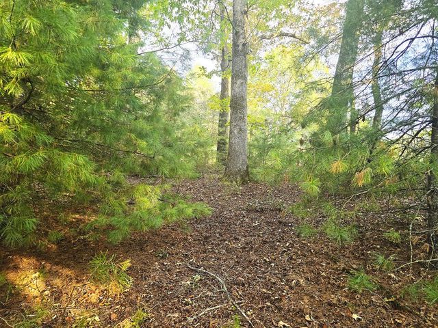 147 Sawyer Cove Road, Hayesville, NC 28904