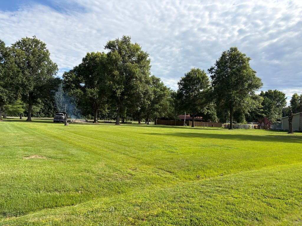 Image 1 of property listing at Lot 10 Gladys Lane, Centralia, IL 62801