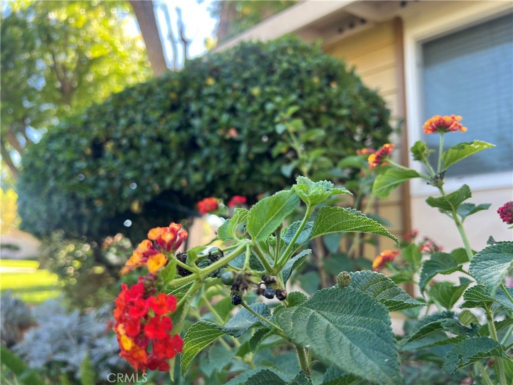 26759 Whispering Leaves, Newhall, CA 91321 — photo 3