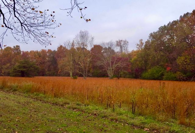 1251 Highway 96, N, Fairview, TN 37062