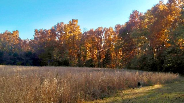 1251 Highway 96, N, Fairview, TN 37062