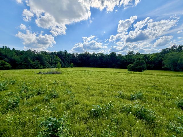 1251 Highway 96, N, Fairview, TN 37062