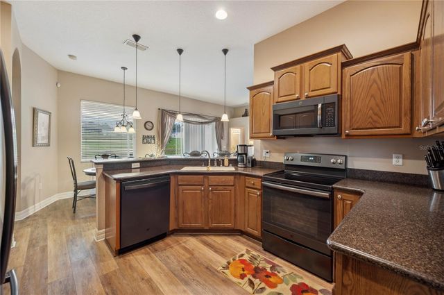 6339 ALAMANDA HILLS DRIVE, Lakeland, FL 33813