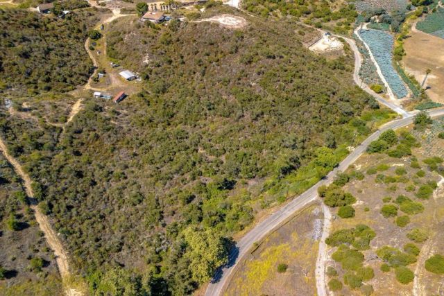 27 Daily, Fallbrook, CA 92028