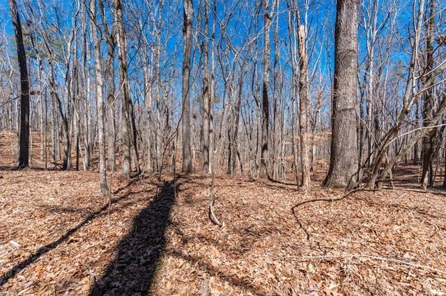 00 Snote Jones Road, Dallas, GA 30132