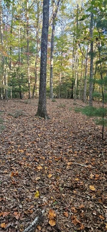 5 Gold Mine Road, Morganton, GA 30560