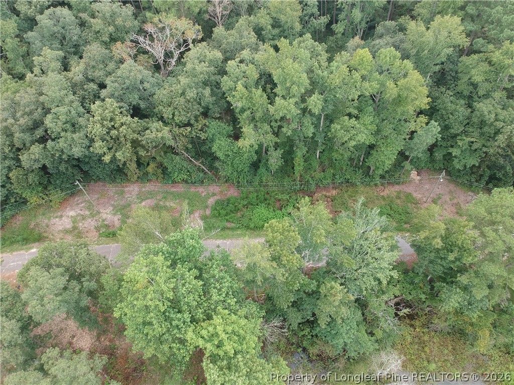 Lot A-8 Lakeview Drive, Red Springs, NC 28377 — photo 3
