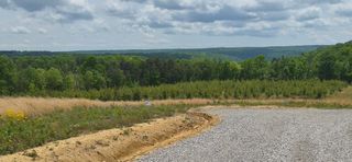 47 Pineview Road 47, Dunlap, TN 37327