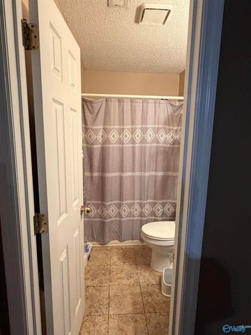 1159 Toney School Road, Toney, AL 35773
