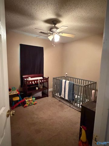 1159 Toney School Road, Toney, AL 35773
