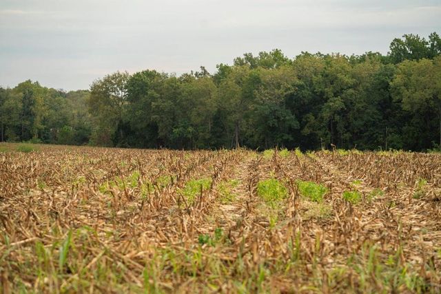 MO 58 Highway, Holden, MO 64040