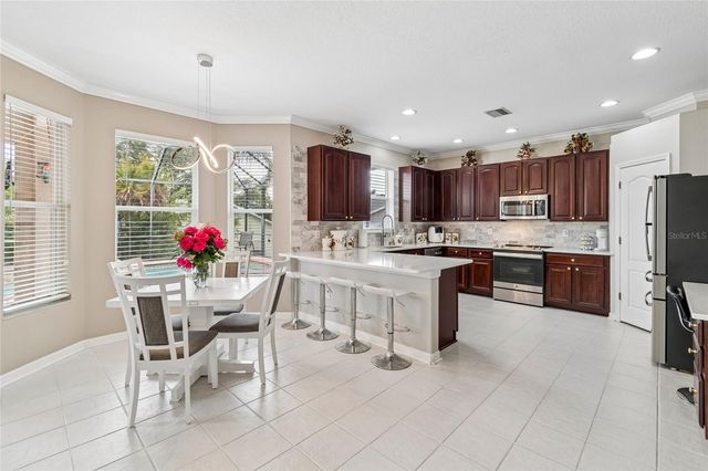 4121 BALINGTON DRIVE, Valrico, FL 33596