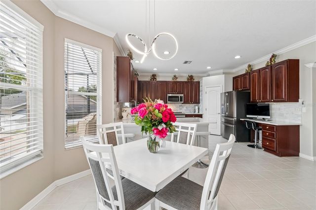 4121 BALINGTON DRIVE, Valrico, FL 33596