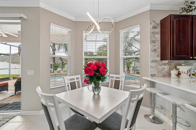 4121 BALINGTON DRIVE, Valrico, FL 33596