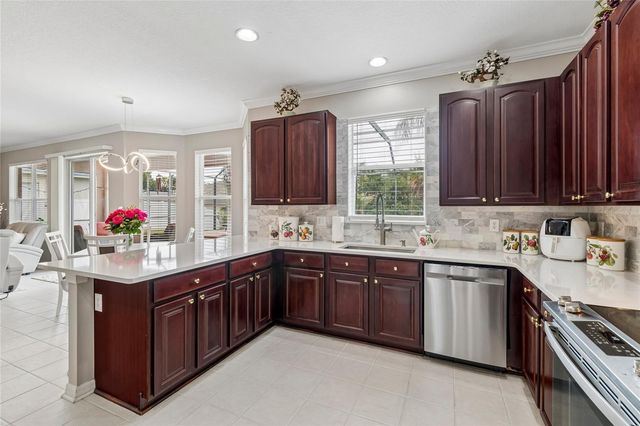 4121 BALINGTON DRIVE, Valrico, FL 33596