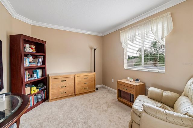4121 BALINGTON DRIVE, Valrico, FL 33596