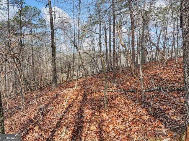 LOT 20 Crown Mountain Way, Dahlonega, GA 30533