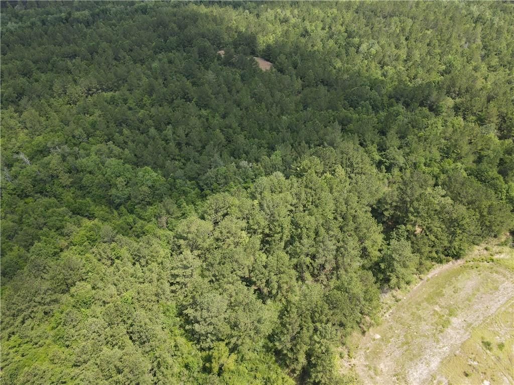 0 Roberts Road, Chunchula, AL 36521 — photo 4