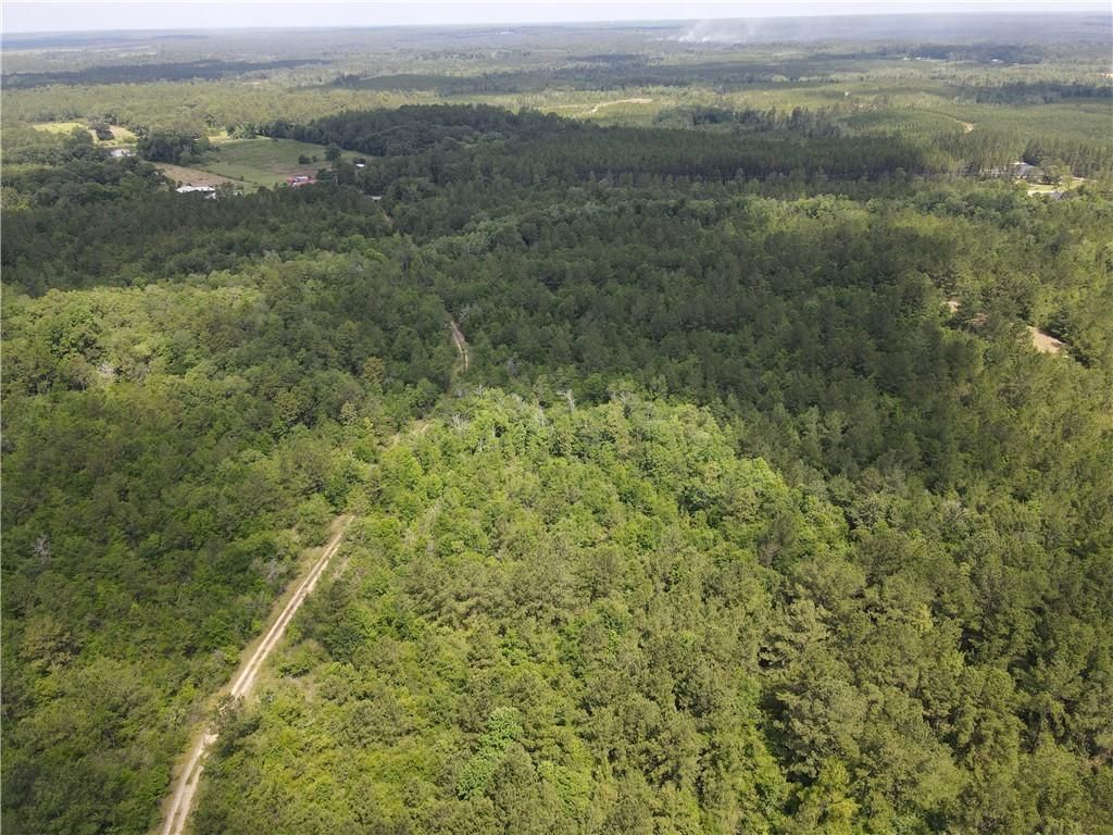 0 Roberts Road, Chunchula, AL 36521 — photo 5