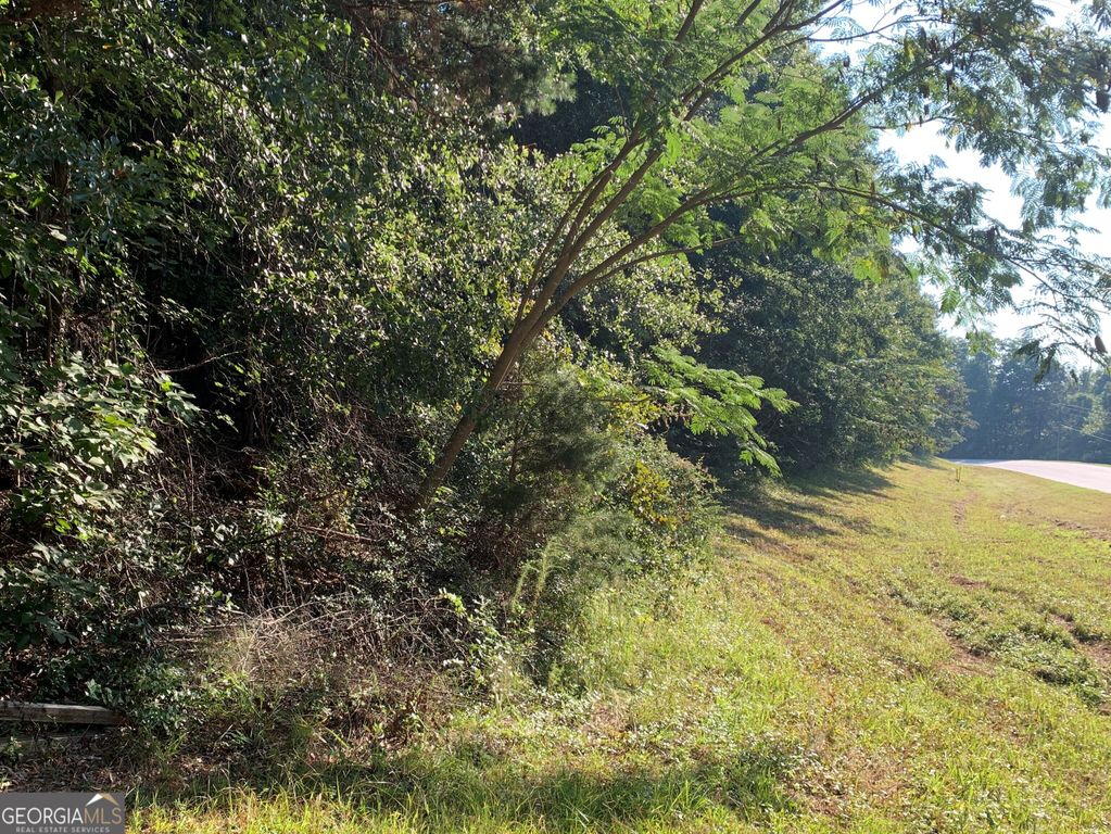 5.10 ACRES Hwy 123, Toccoa, GA 30577 — exterior