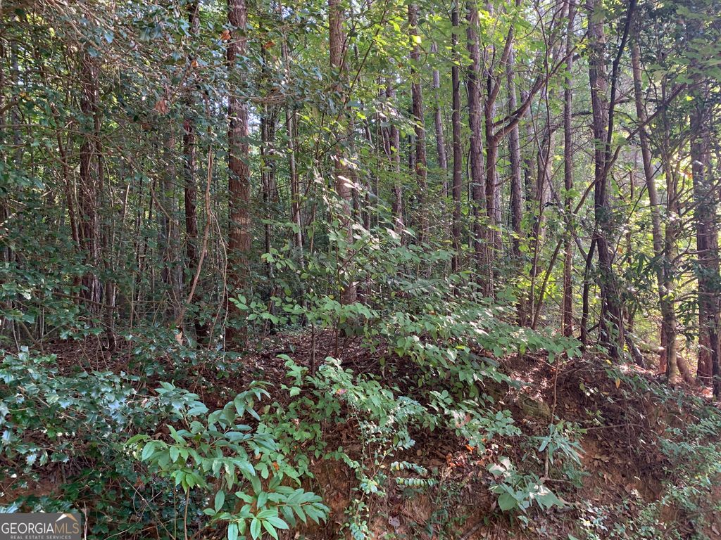 5.10 ACRES Hwy 123, Toccoa, GA 30577 — photo 2