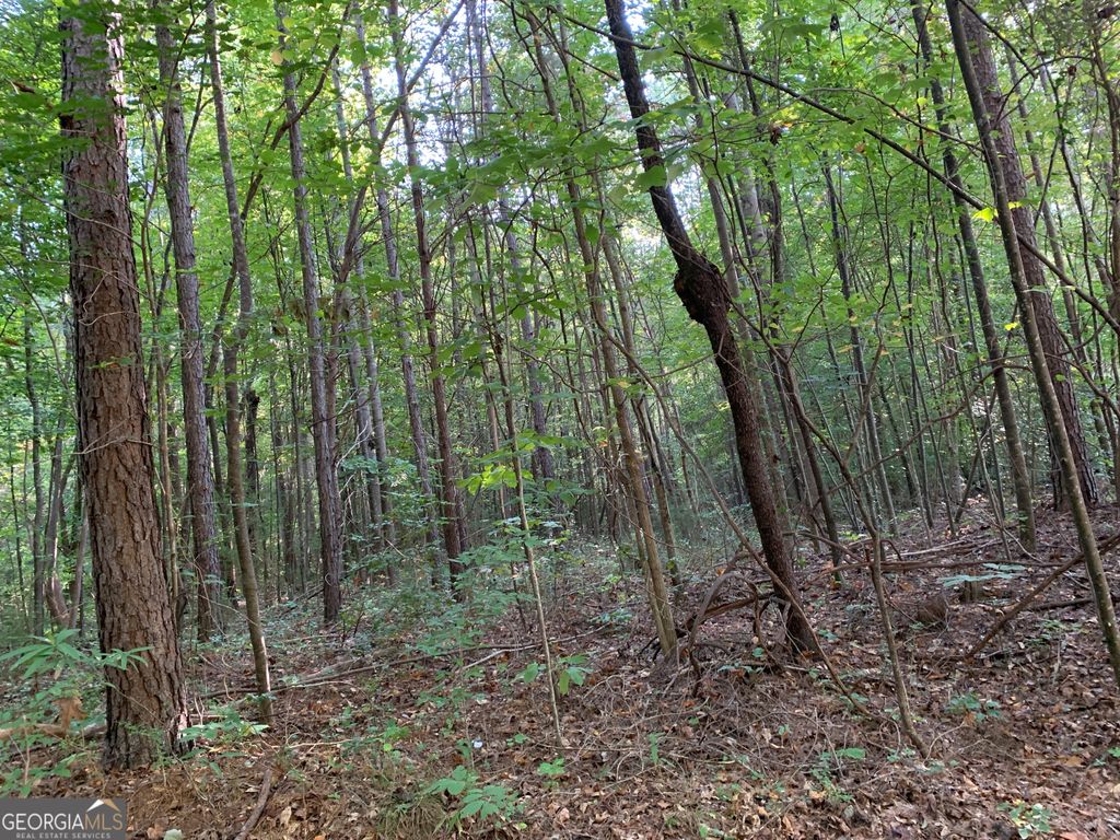 5.10 ACRES Hwy 123, Toccoa, GA 30577 — photo 3