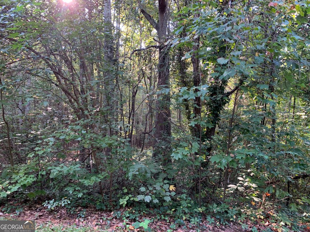5.10 ACRES Hwy 123, Toccoa, GA 30577 — photo 4