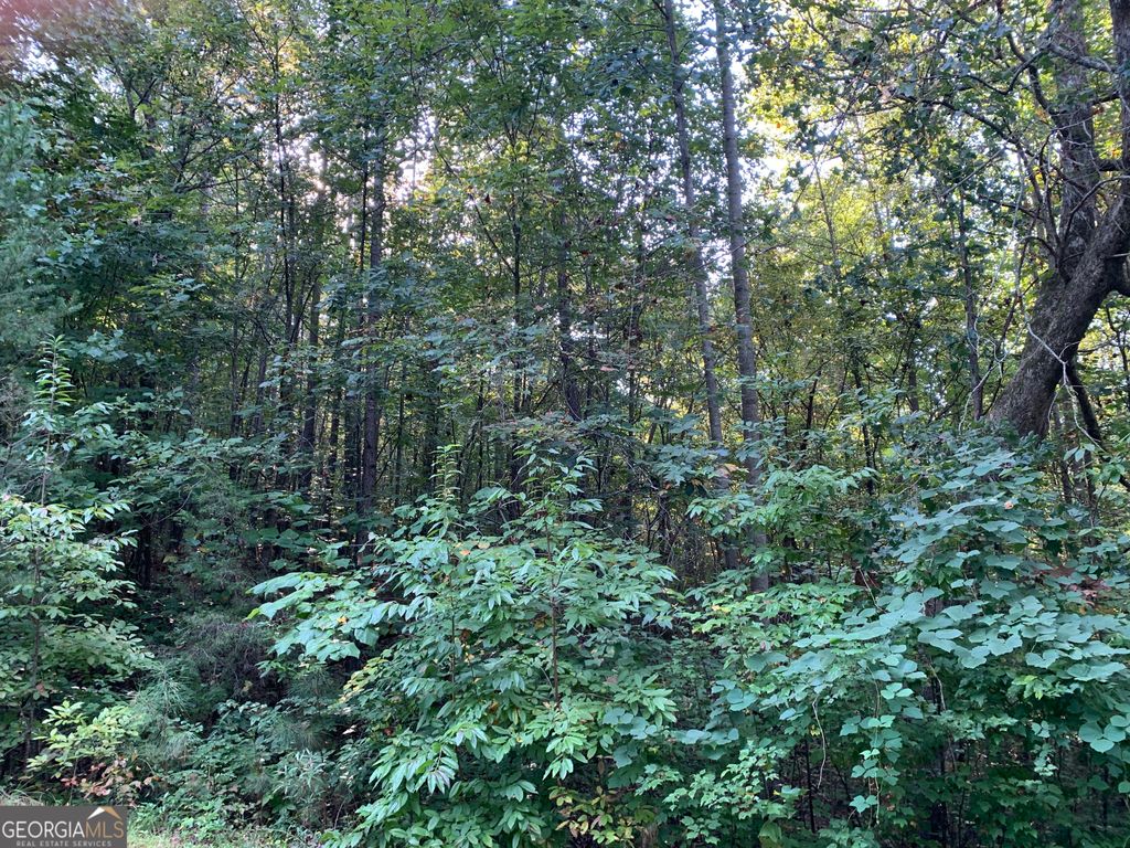 5.10 ACRES Hwy 123, Toccoa, GA 30577 — photo 5